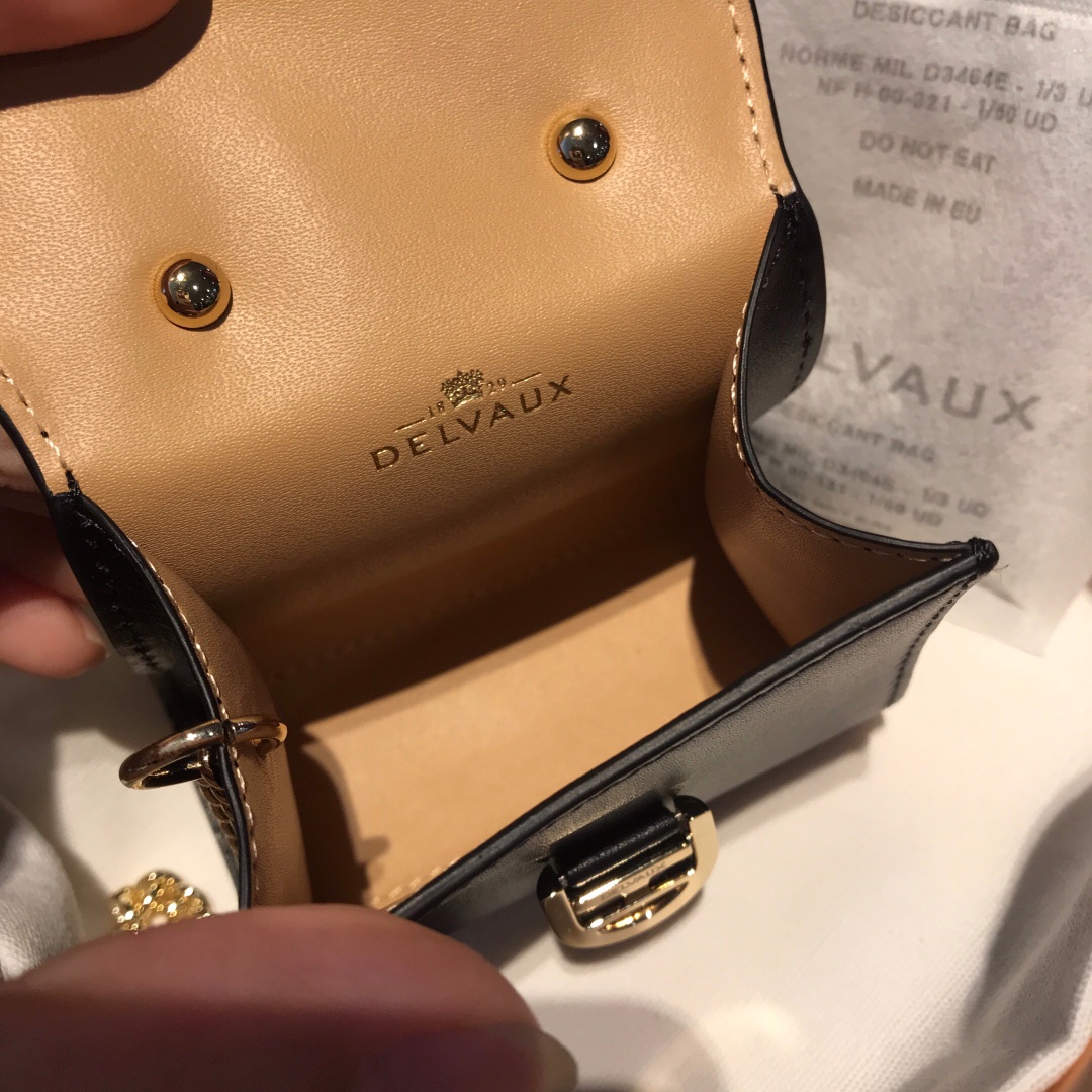 델보 브리앙 MM 박스백 미니